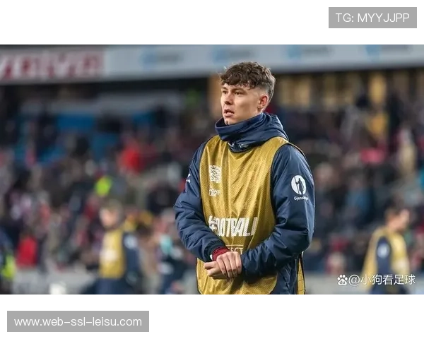 狼队引进戈麦斯、阿姆斯特朗，出售拉尔森